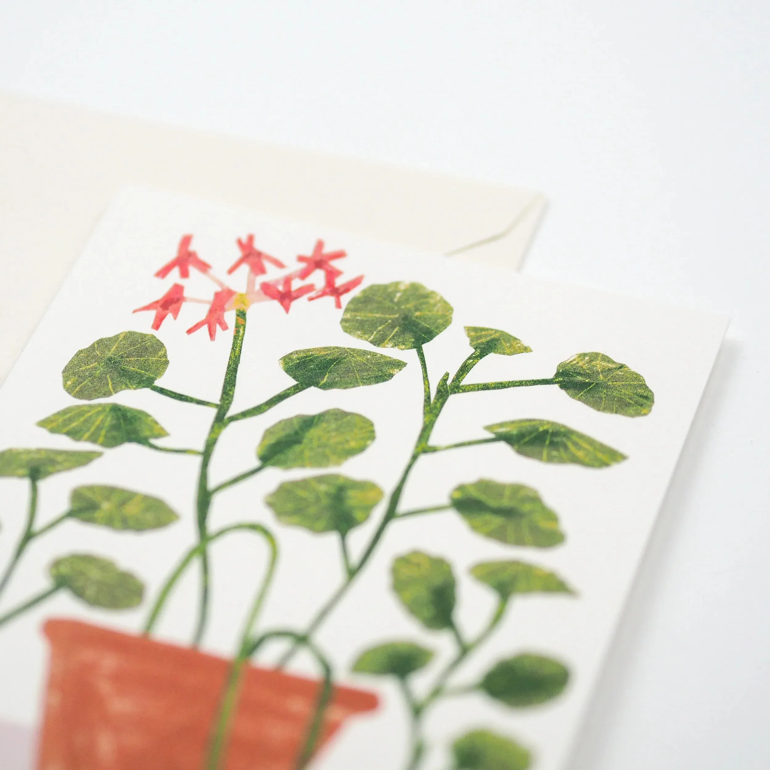Scented Geranium Card