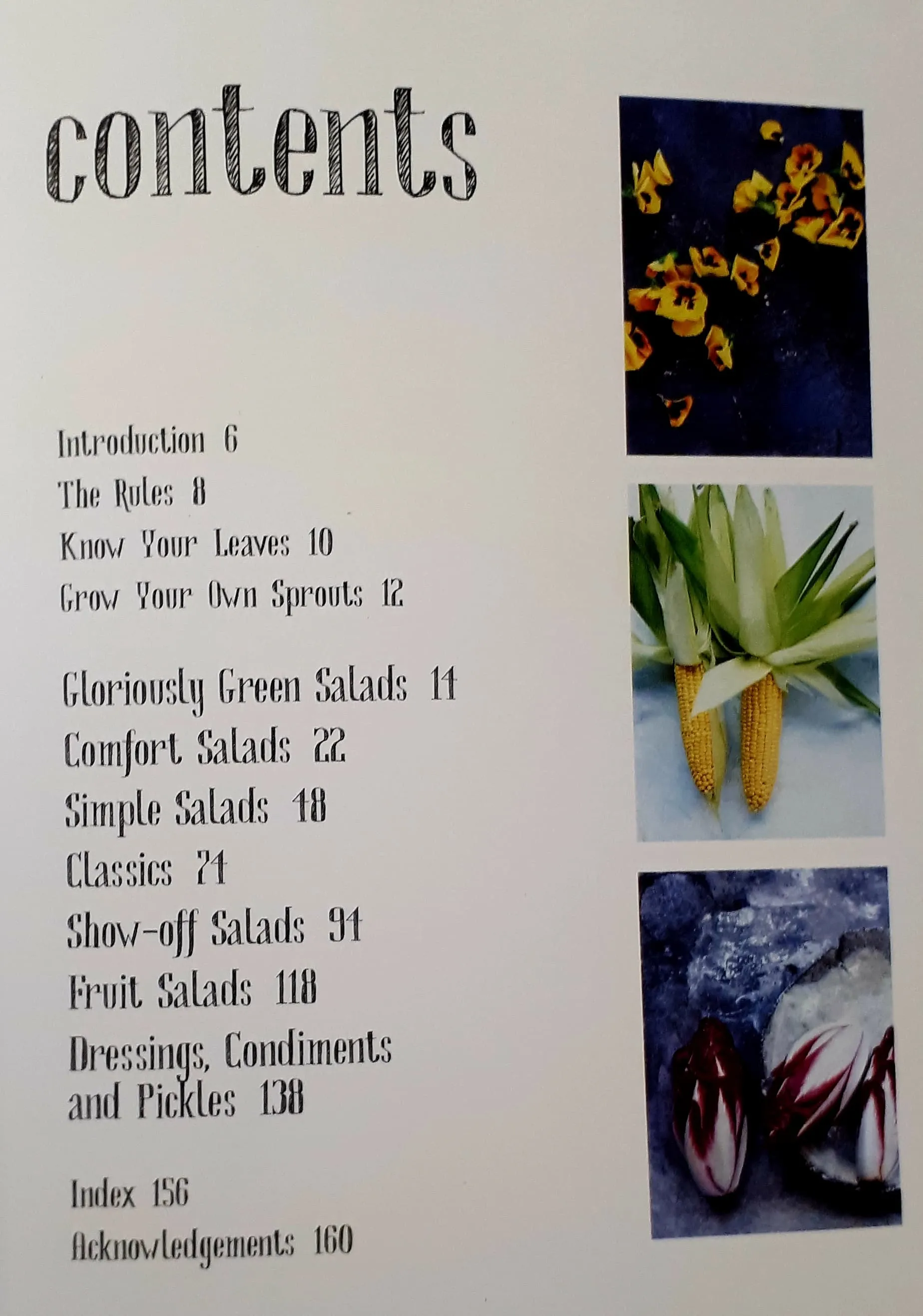 SKINNY SALADS - Kathryn Burton