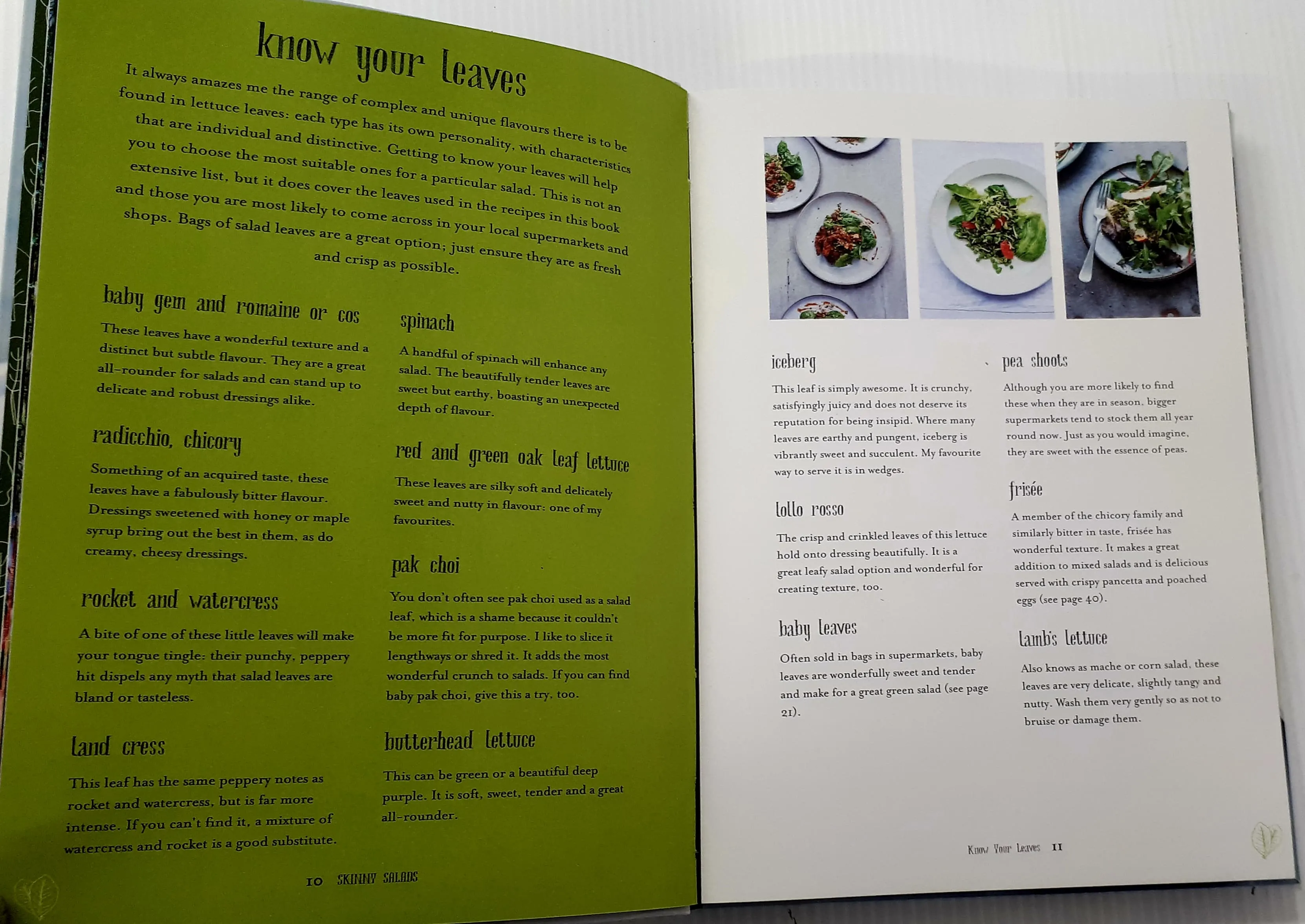 SKINNY SALADS - Kathryn Burton
