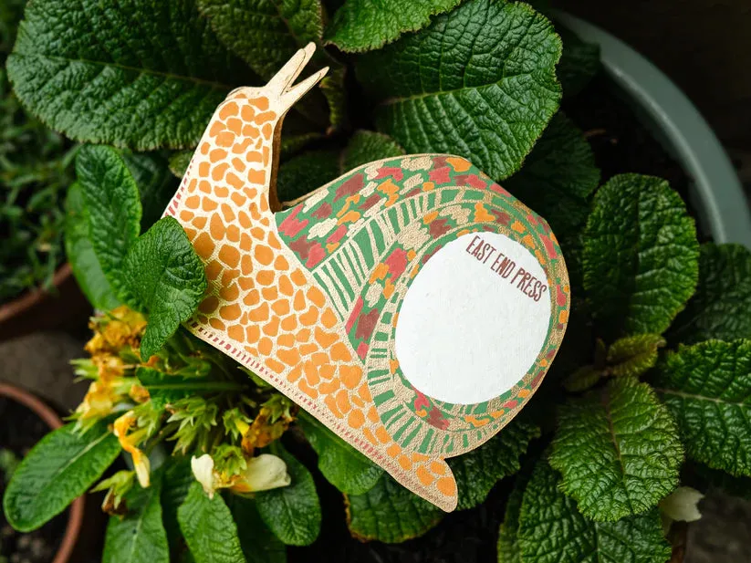 Snail Greeting Card