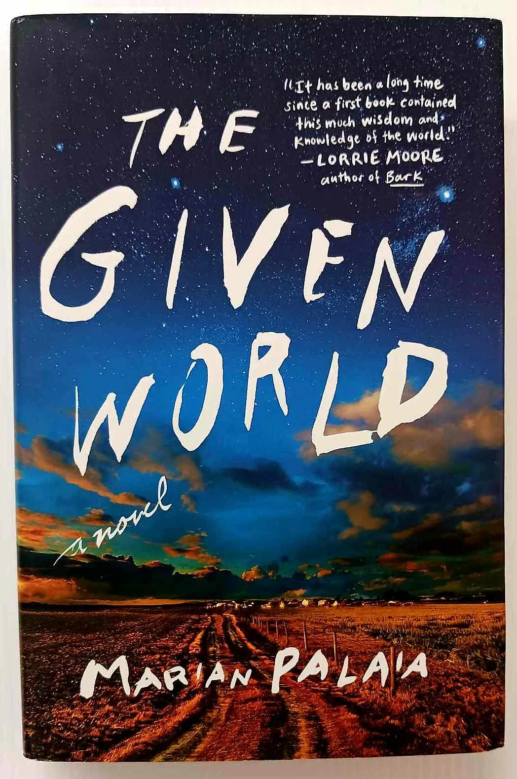 THE GIVEN WORLD - Marian Palaia