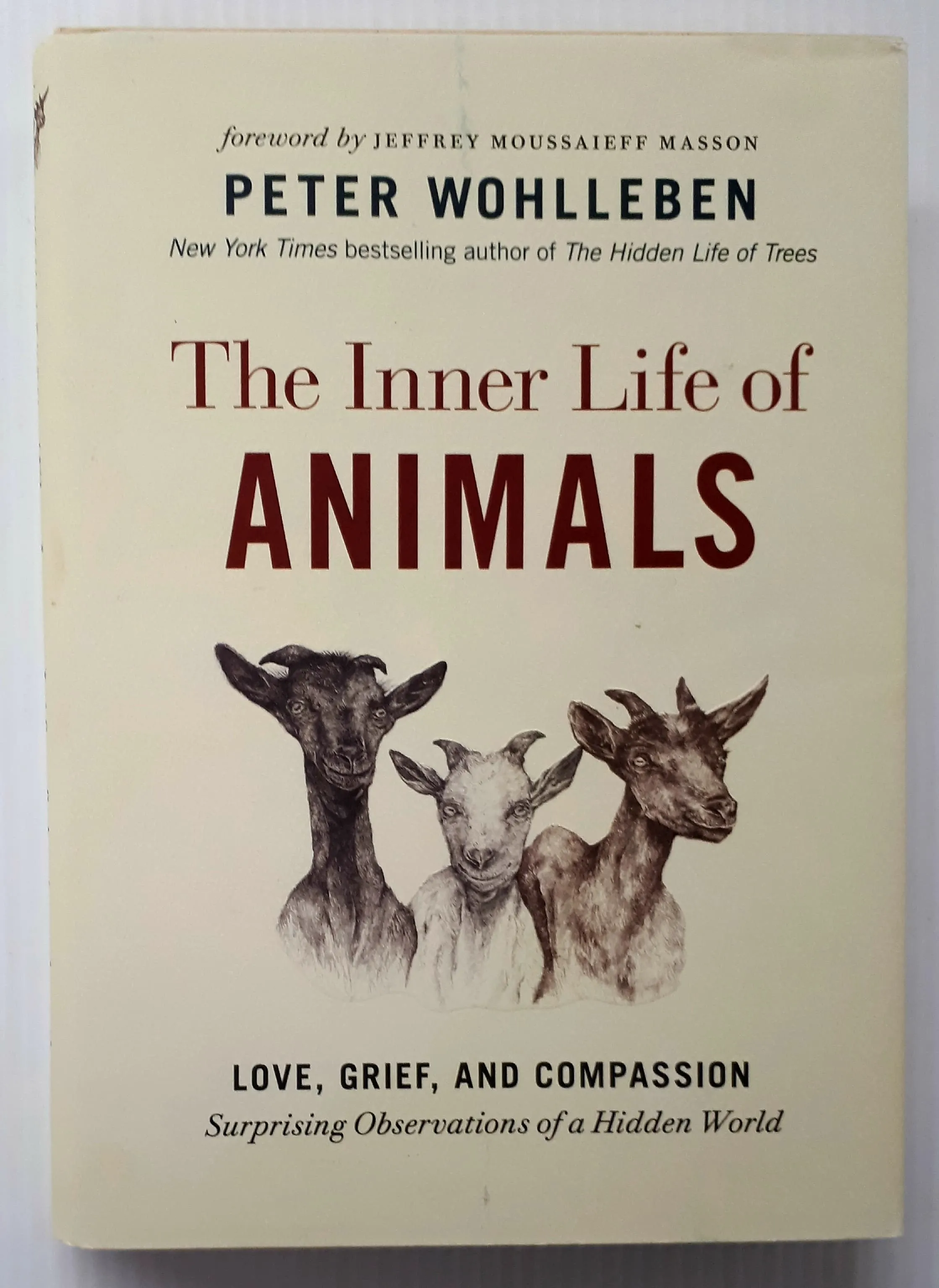 THE INNER LIFE OF ANIMALS - Peter Wohlleben