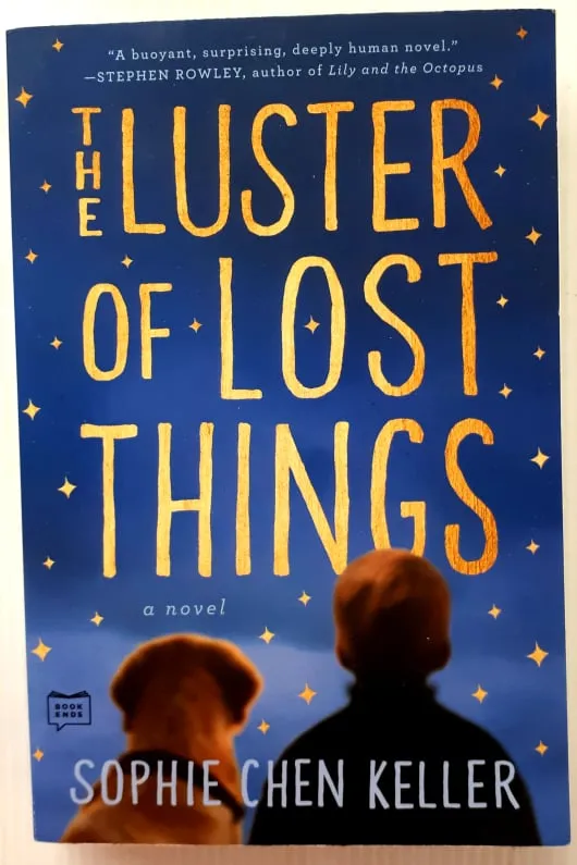 THE LUSTER OF LOST THINGS - Sophie Chen Keller