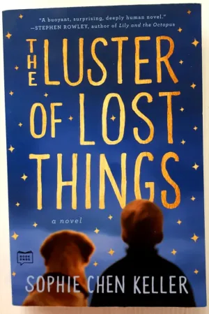 THE LUSTER OF LOST THINGS - Sophie Chen Keller