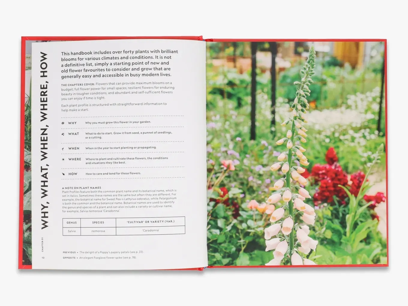 The Super Bloom Handbook