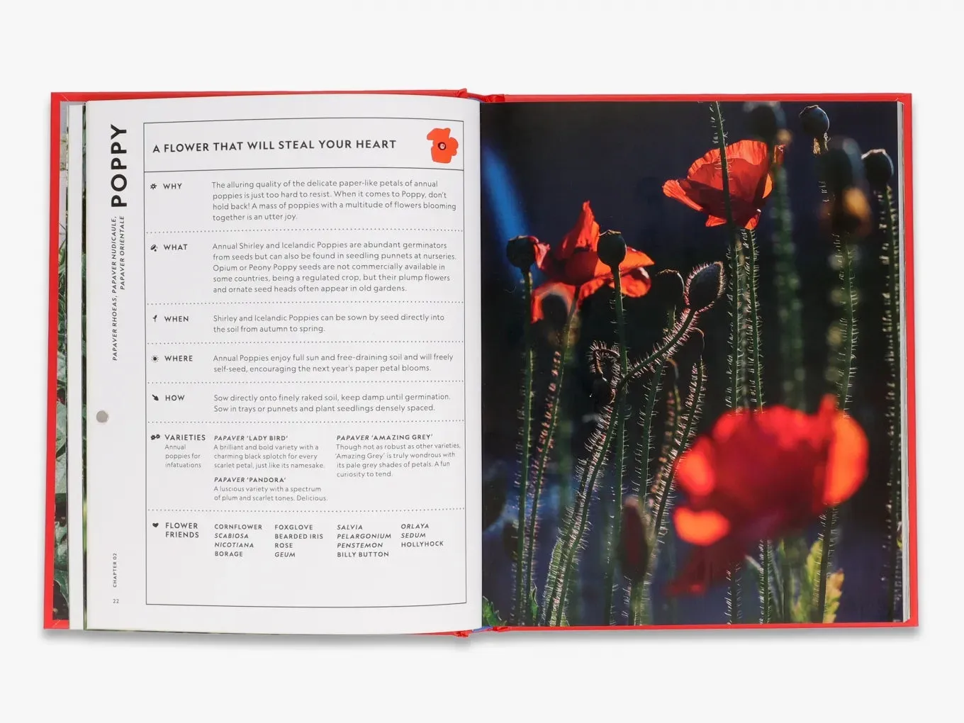 The Super Bloom Handbook