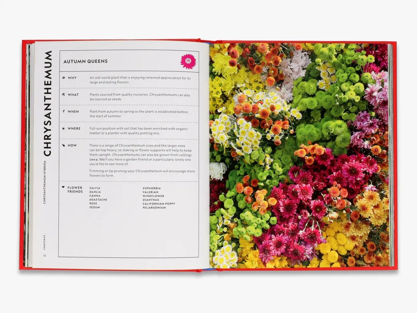 The Super Bloom Handbook
