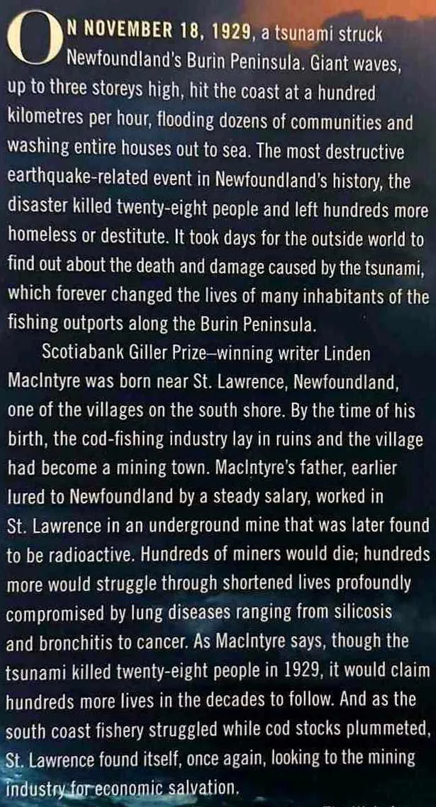 THE WAKE - Linden MacIntyre