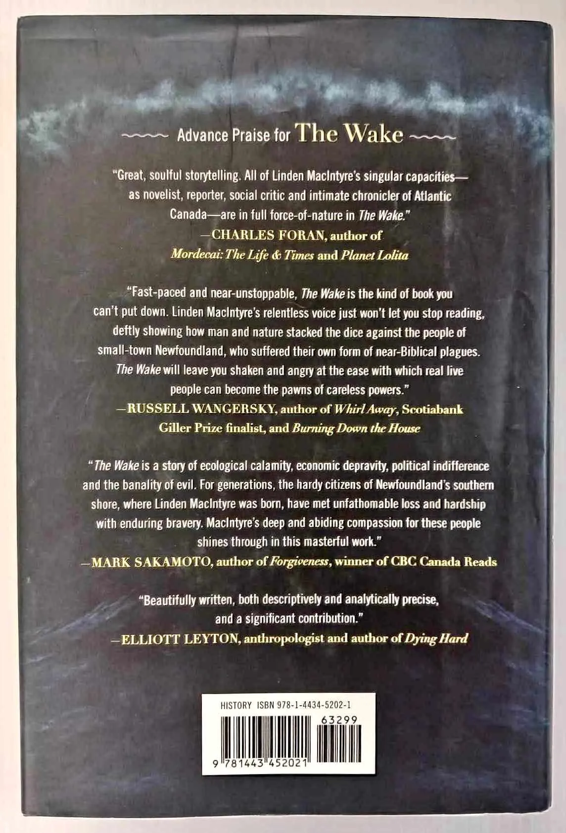 THE WAKE - Linden MacIntyre
