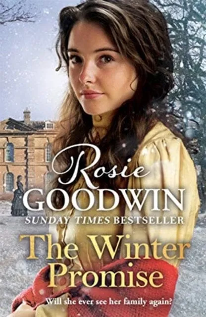The Winter Promise  by Rosie Goodwin
