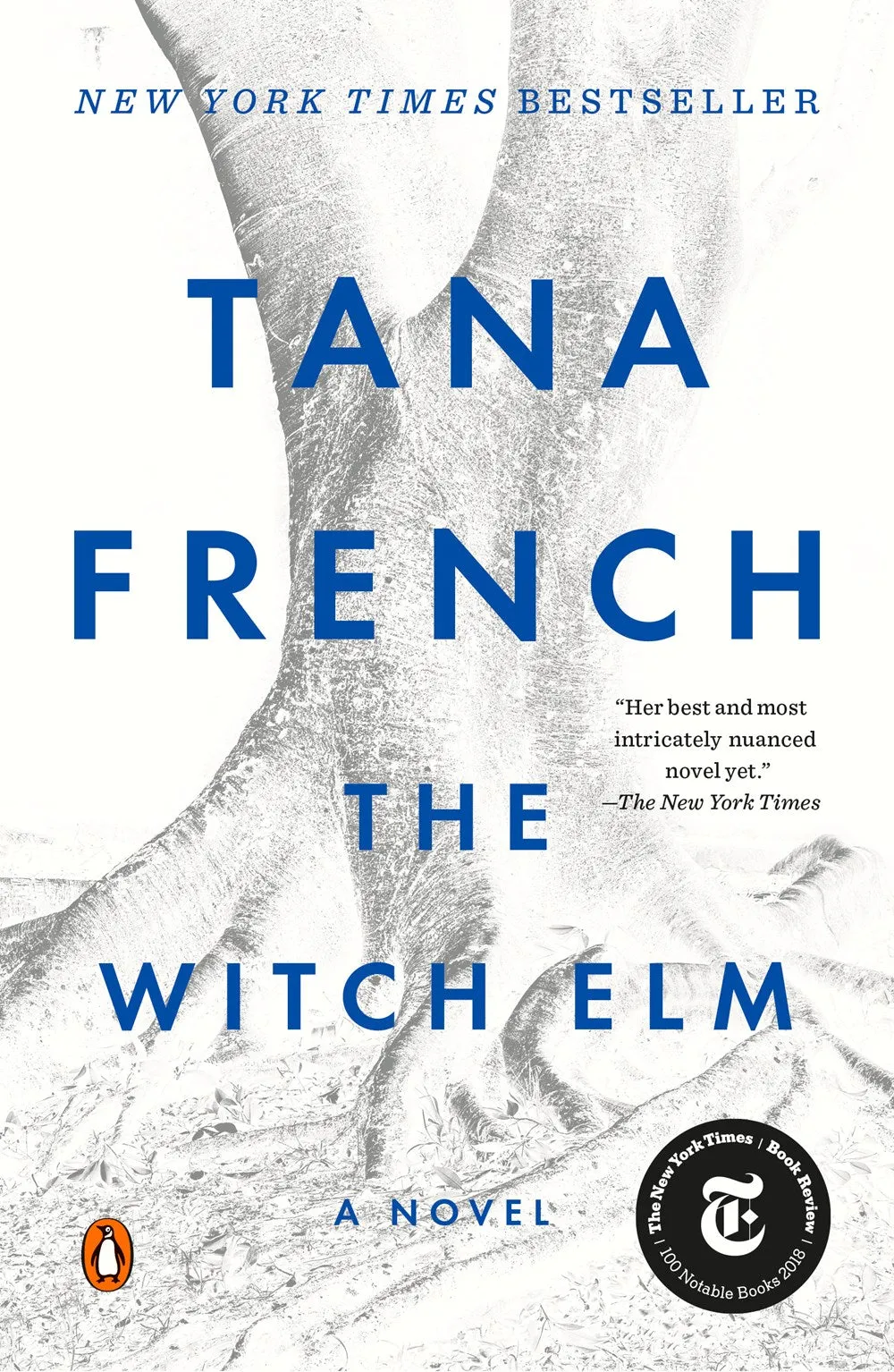 The Witch Elm Cleary's