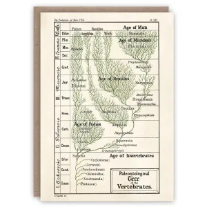 Timeline of Evolution Card
