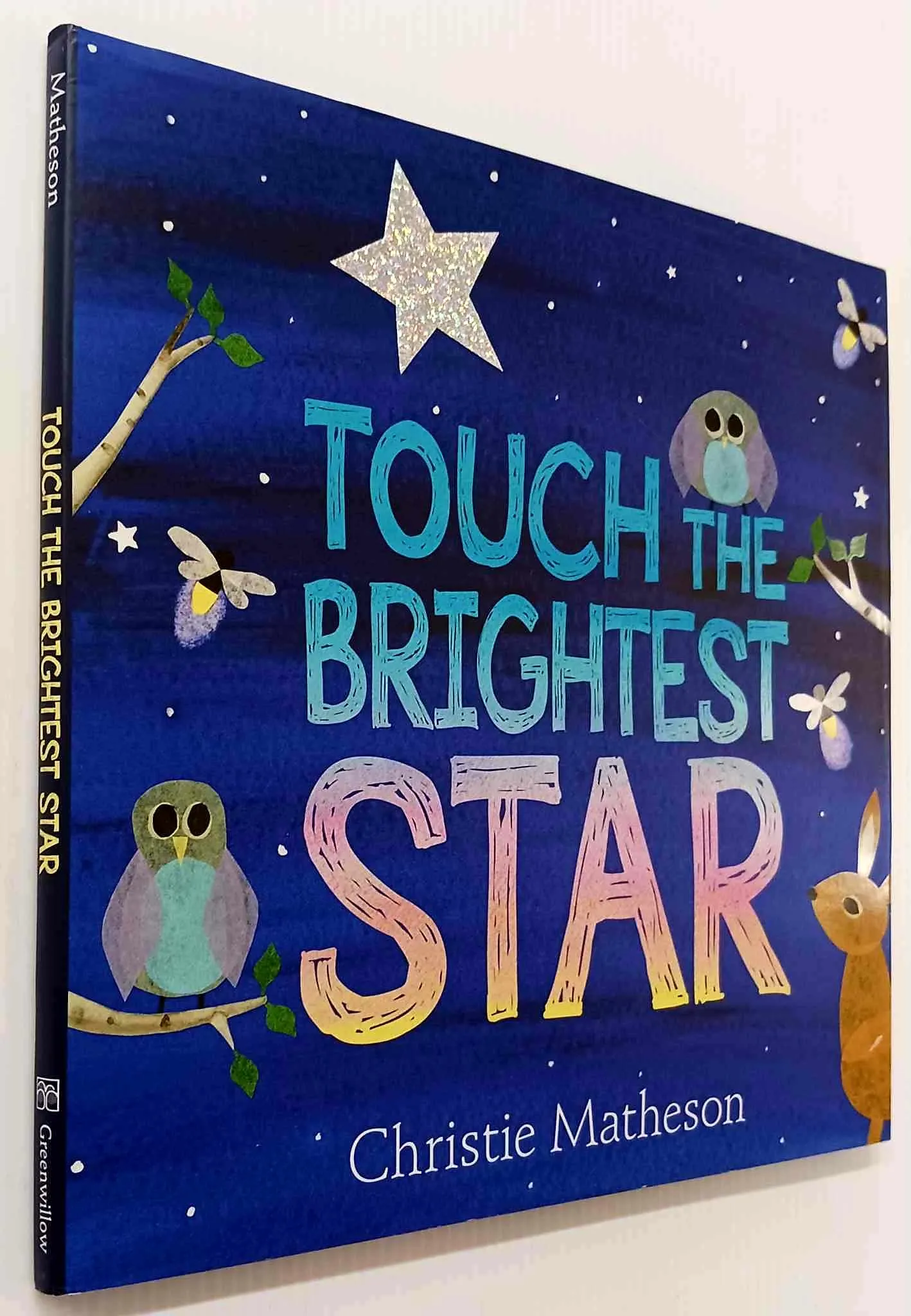 TOUCH THE BRIGHTEST STAR - Christie Matheson