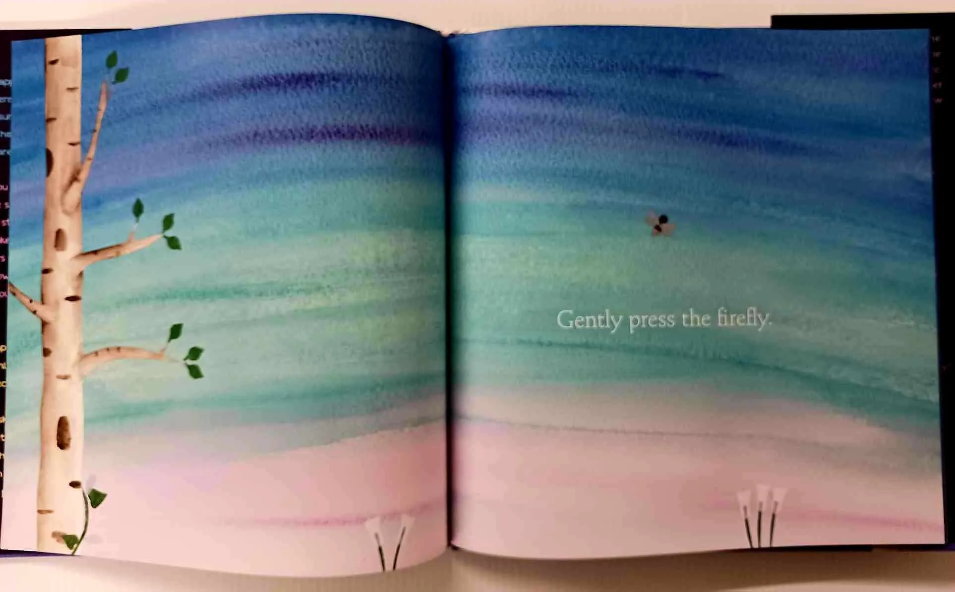 TOUCH THE BRIGHTEST STAR - Christie Matheson