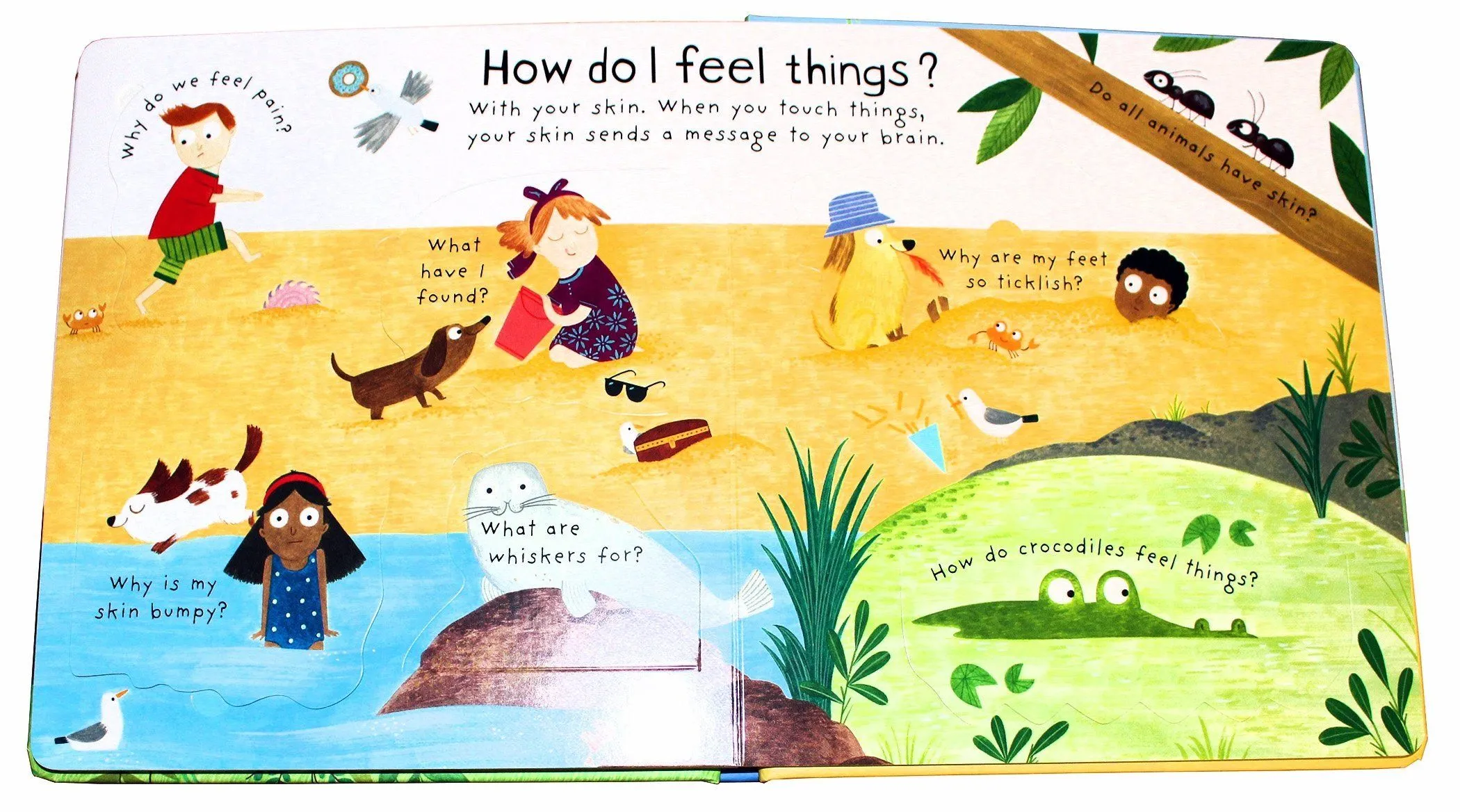 Usborne Lift-the Flap Questions and Answers 5 Books Collection Box Set Series 2 By Katie Daynes - Ages 0-5 - Board Book
