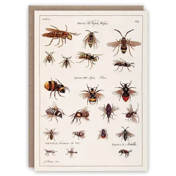 Wasps and Bees Card