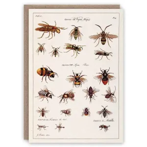 Wasps and Bees Card
