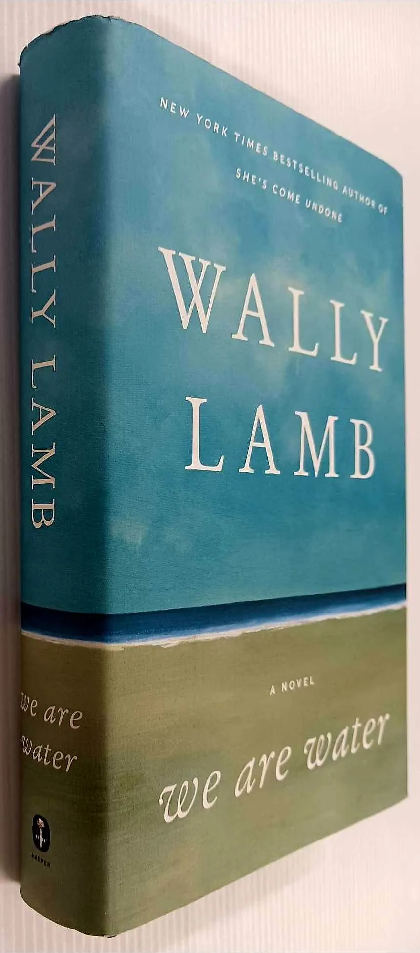 WE ARE WATER - Wally Lamb
