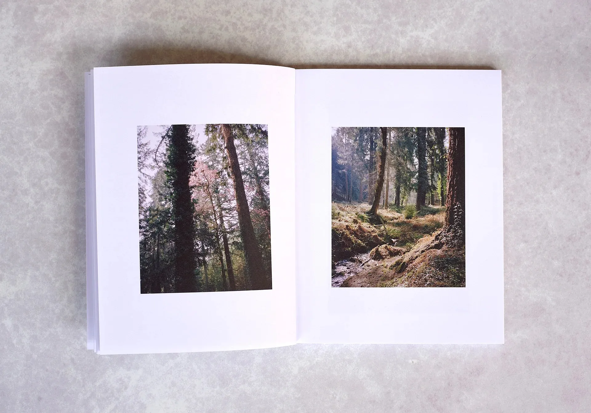 Weekend Journals: Somerset