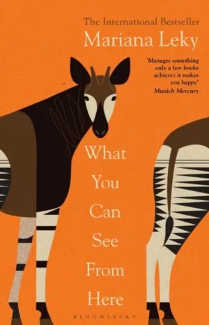What You Can See From Here  by Mariana Leky
