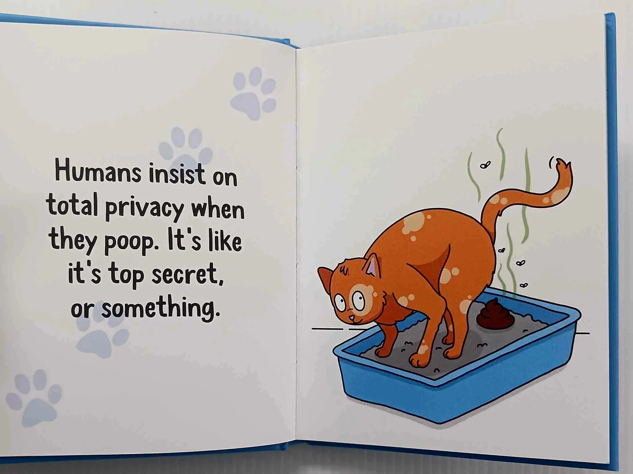 WHY YOUR CAT THINKS YOU'RE AN IDIOT - Sam Hart