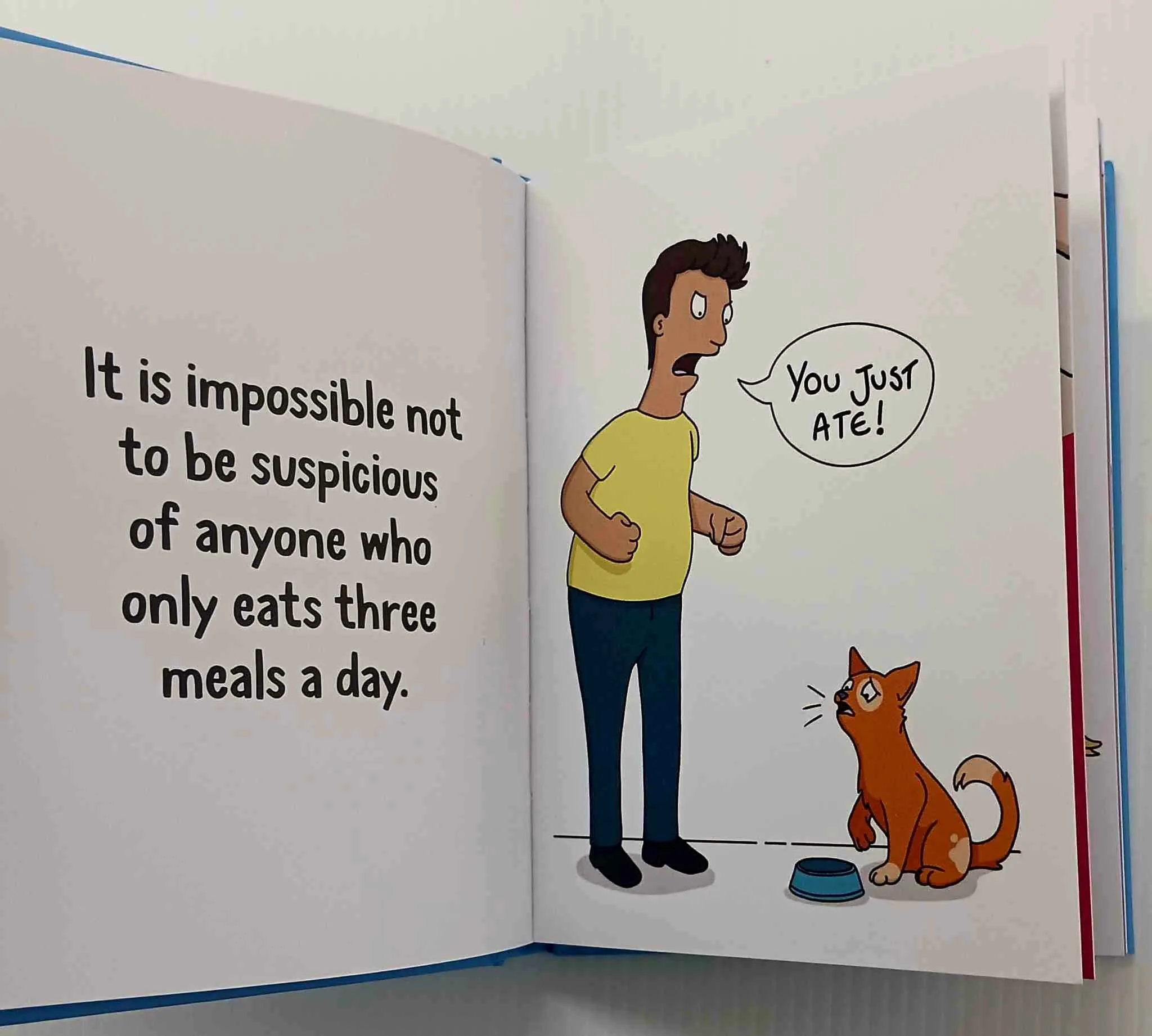 WHY YOUR CAT THINKS YOU'RE AN IDIOT - Sam Hart
