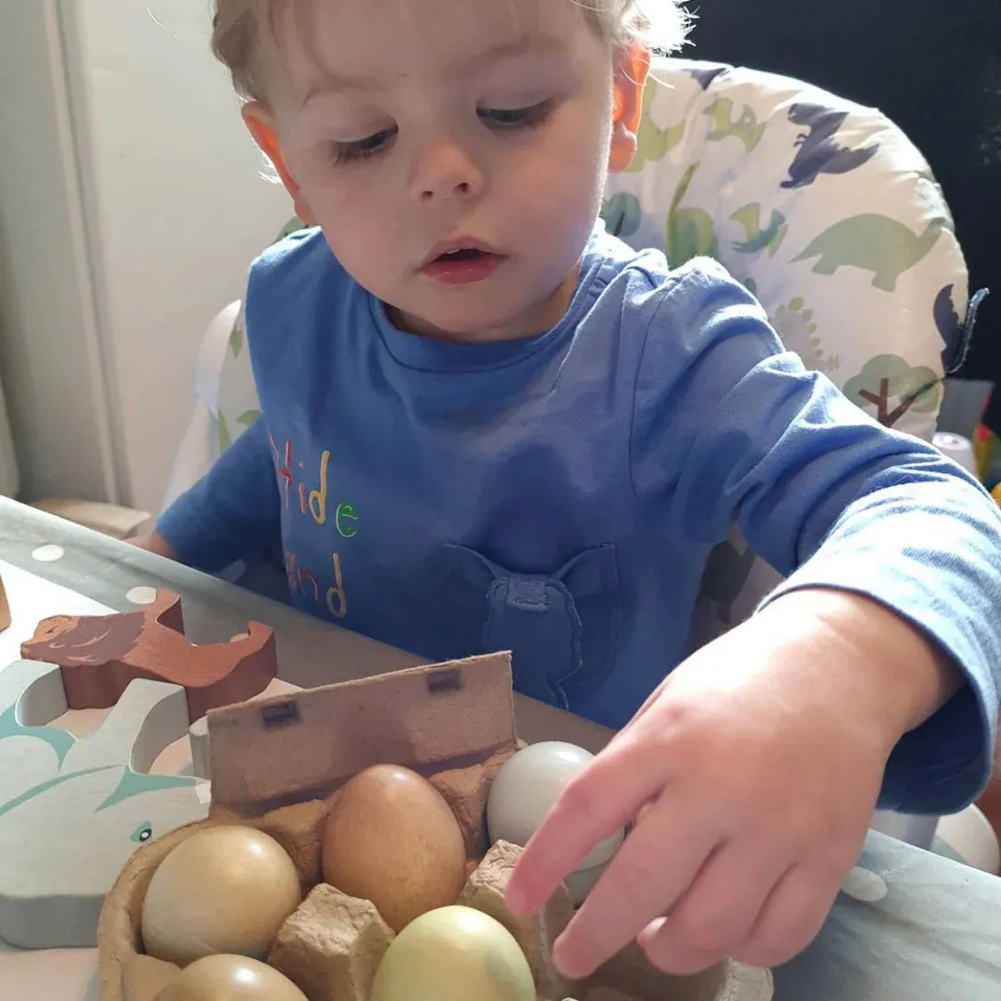 Wooden Eggs
